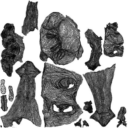 3D human model woman sport, photogrammetry scanned person for archviz, wireframe top-down view