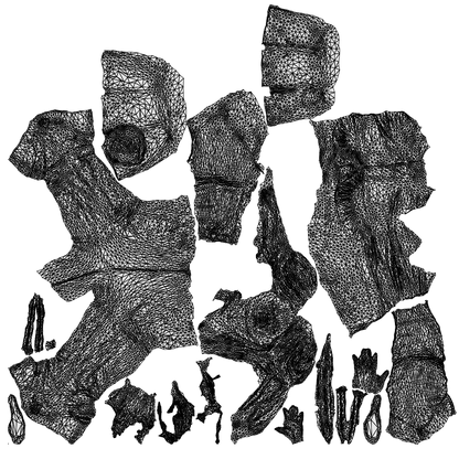 realistic 3D people woman casual standing, render-ready for V-Ray and Corona, FBX OBJ, wireframe top-down view