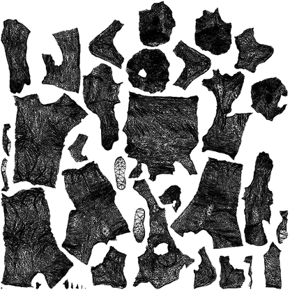 scanned 3D senior woman casual couple, photogrammetry people for Enscape and V-Ray, wireframe top-down view
