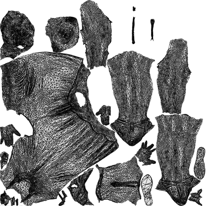 realistic 3D people woman walking, render-ready for V-Ray and Corona, FBX OBJ, wireframe top-down view