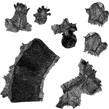 3D people model woman casual standing, scanned human for 3ds Max rendering, wireframe top-down view