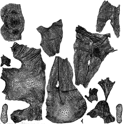 3D people model man casual sitting, scanned human for 3ds Max rendering, wireframe top-down view