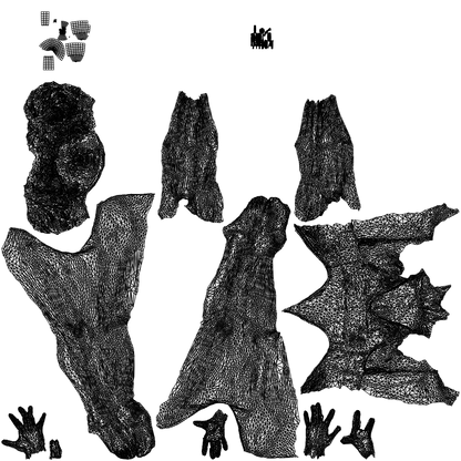 3D human model woman pool, photogrammetry scanned person for archviz, wireframe top-down view