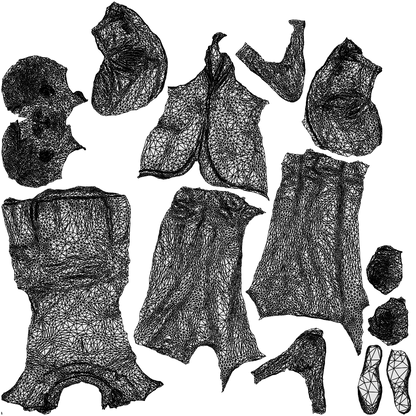 3D human model man business, photogrammetry scanned person for archviz, wireframe top-down view