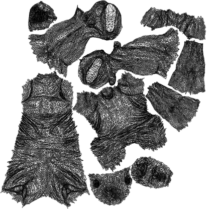 photogrammetry 3D man sport, realistic human model archviz FBX, wireframe top-down view