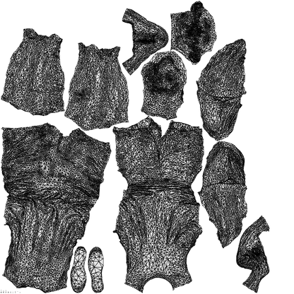 3D human model man casual standing, photogrammetry scanned person for archviz, wireframe top-down view