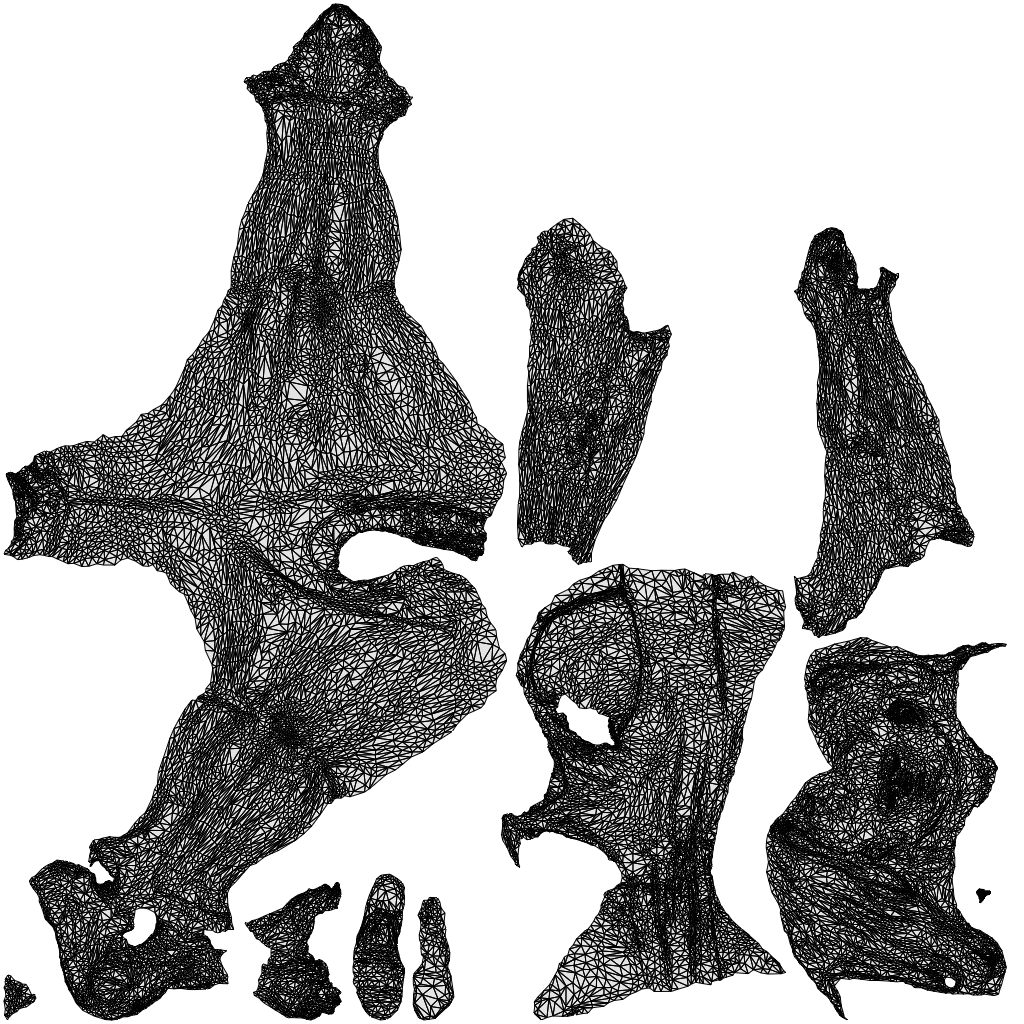 realistic 3D human woman sport, archviz people FBX OBJ for Blender, wireframe top-down view