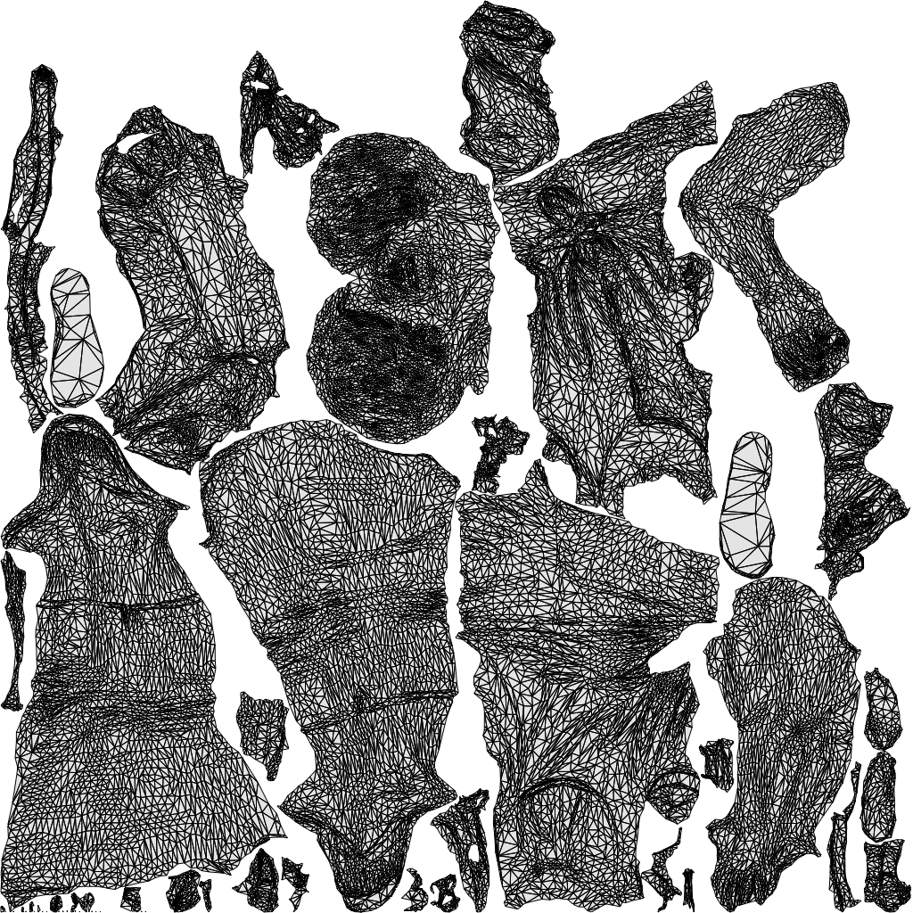 3D people model senior woman standing, scanned human for 3ds Max rendering, wireframe top-down view