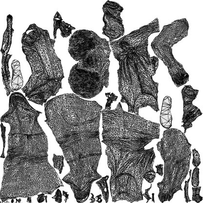 3D people model senior woman standing, scanned human for 3ds Max rendering, wireframe top-down view