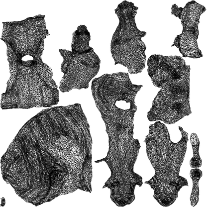 realistic 3D woman formal sitting, scanned archviz people for Blender and 3ds Max, wireframe top-down view
