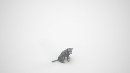 scanned 3D person misc, photogrammetry people for Enscape and V-Ray, wireframe three-quarter view