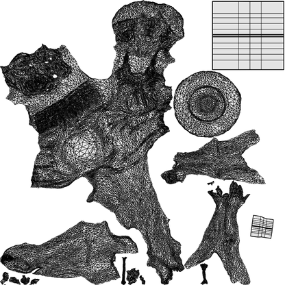 3D scanned woman pool, photorealistic archviz people for Enscape and SketchUp, wireframe top-down view