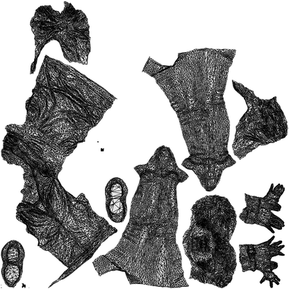 realistic 3D people woman sport, render-ready for V-Ray and Corona, FBX OBJ, wireframe top-down view