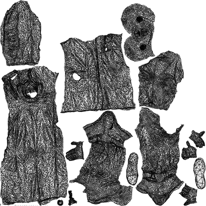 3D human model man medical, photogrammetry scanned person for archviz, wireframe top-down view