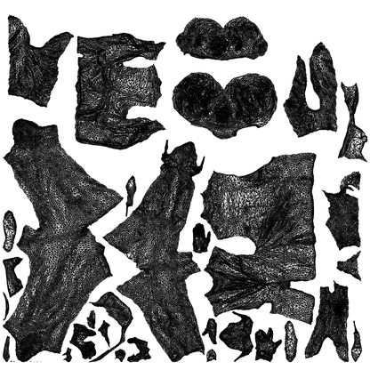 scanned 3D woman business, photogrammetry people for Enscape and V-Ray, wireframe top-down view