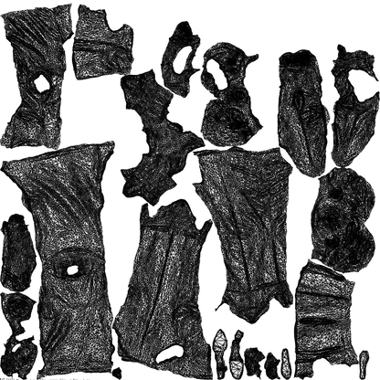 realistic 3D girl casual kids, scanned archviz people for Blender and 3ds Max, wireframe top-down view