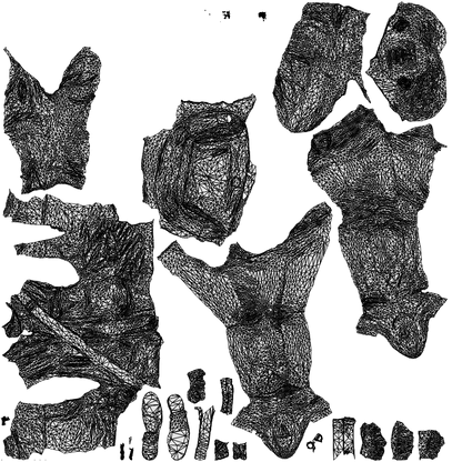 3D scanned man cycling casual, photorealistic archviz people for Enscape and SketchUp, wireframe three-quarter back view