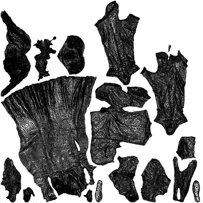 3D human model woman formal couple, photogrammetry scanned person for archviz, wireframe top-down view