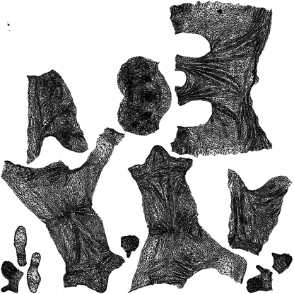 3D people model man casual cycling, scanned human for 3ds Max rendering, wireframe top-down view