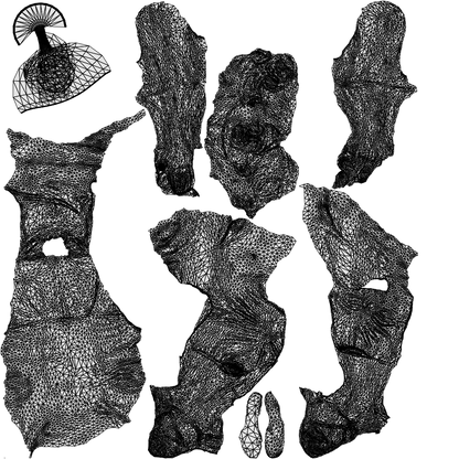 scanned 3D senior woman casual sitting, photogrammetry people for Enscape and V-Ray, wireframe top-down view