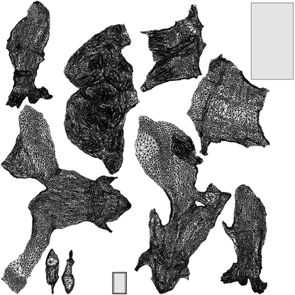 realistic 3D woman casual sitting, scanned archviz people for Blender and 3ds Max, wireframe top-down view