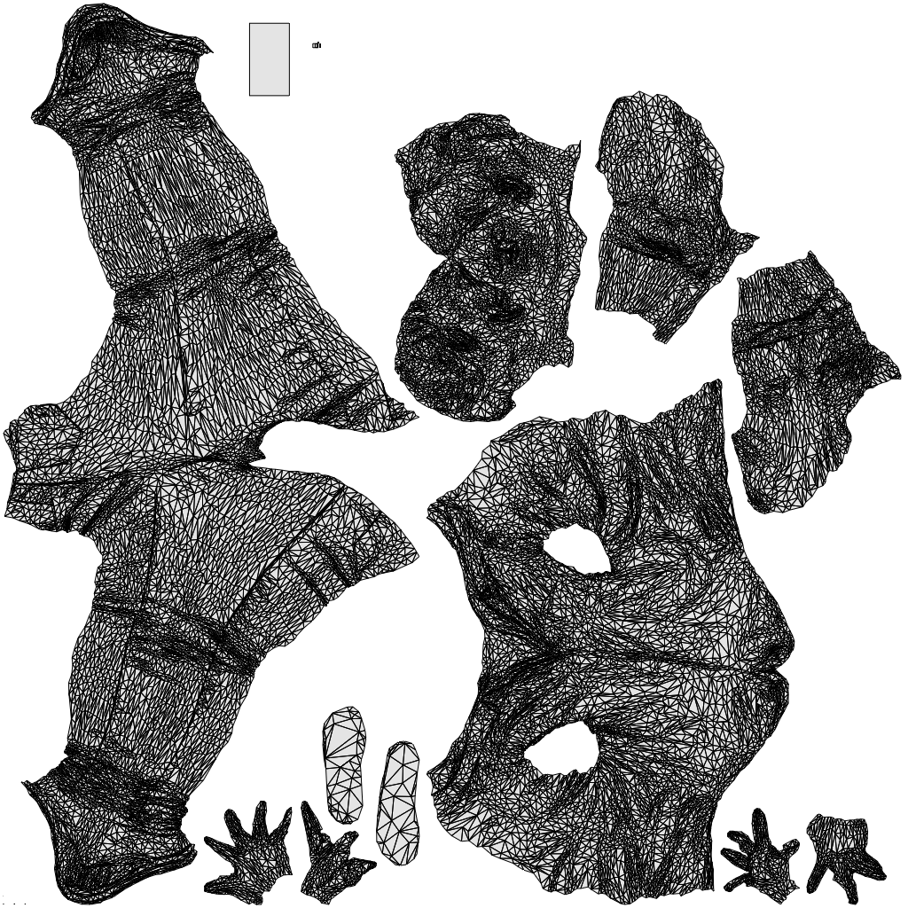 3D people model man casual standing, scanned human for 3ds Max rendering, wireframe top-down view
