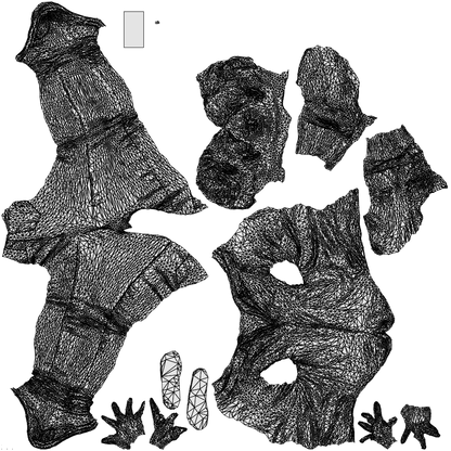 3D people model man casual standing, scanned human for 3ds Max rendering, wireframe top-down view
