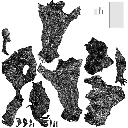 scanned 3D woman casual walking, photogrammetry people for Enscape and V-Ray, wireframe top-down view