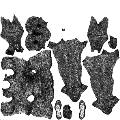 realistic 3D girl sport, scanned archviz people for Blender and 3ds Max, wireframe top-down view