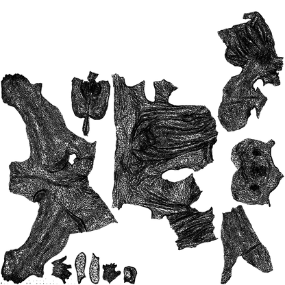realistic 3D people man casual pool, render-ready for V-Ray and Corona, FBX OBJ, wireframe top-down view