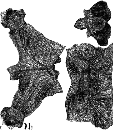 realistic 3D woman casual standing, scanned archviz people for Blender and 3ds Max, wireframe top-down view