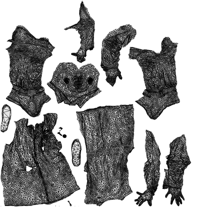 photogrammetry 3D man medical, realistic human model archviz FBX, wireframe top-down view
