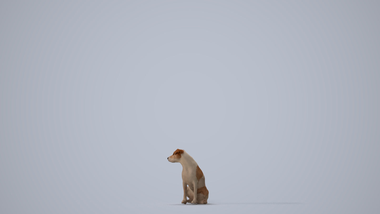 scanned 3D person misc, photogrammetry people for Enscape and V-Ray, three-quarter view render