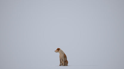 scanned 3D person misc, photogrammetry people for Enscape and V-Ray, three-quarter view render