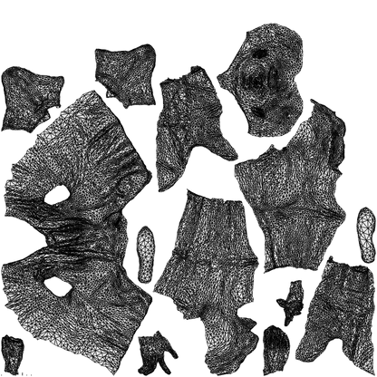 scanned 3D man business, photogrammetry people for Enscape and V-Ray, wireframe top-down view