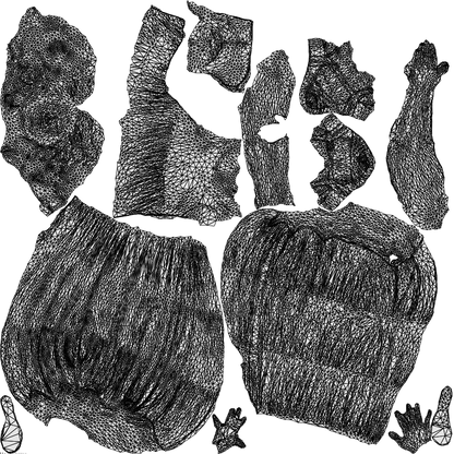 photogrammetry 3D woman casual walking, realistic human model archviz FBX, wireframe top-down view