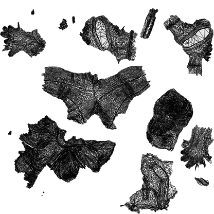 scanned 3D woman casual walking, photogrammetry people for Enscape and V-Ray, wireframe top-down view
