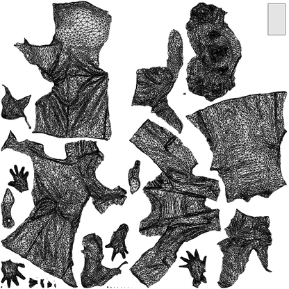 3D scanned woman business, photorealistic archviz people for Enscape and SketchUp, wireframe top-down view