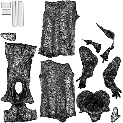 realistic 3D woman business, scanned archviz people for Blender and 3ds Max, wireframe top-down view