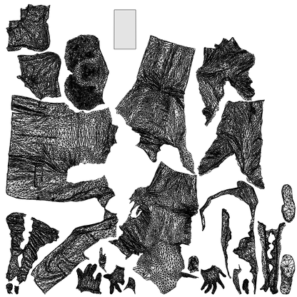 scanned 3D man business, photogrammetry people for Enscape and V-Ray, wireframe top-down view