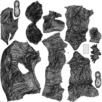 realistic 3D woman casual standing, scanned archviz people for Blender and 3ds Max, wireframe top-down view