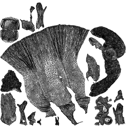 scanned 3D woman formal formalaffairs, photogrammetry people for Enscape and V-Ray, wireframe top-down view