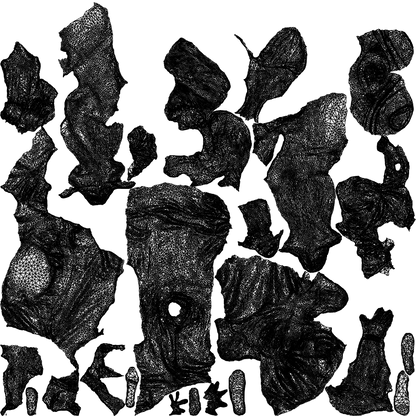 scanned 3D girl kids, photogrammetry people for Enscape and V-Ray, wireframe top-down view