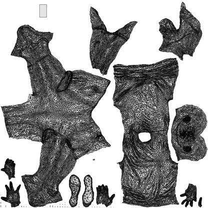 scanned 3D man sport, photogrammetry people for Enscape and V-Ray, wireframe top-down view