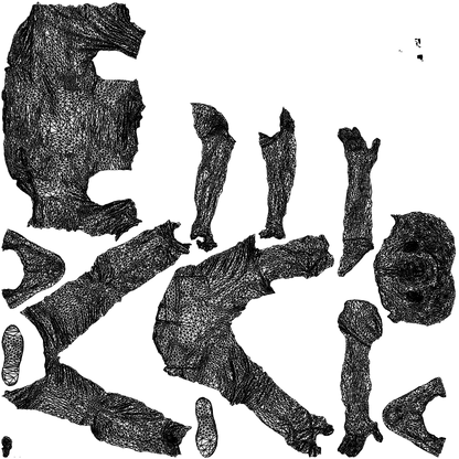 scanned 3D senior man casual cycling, photogrammetry people for Enscape and V-Ray, wireframe top-down view