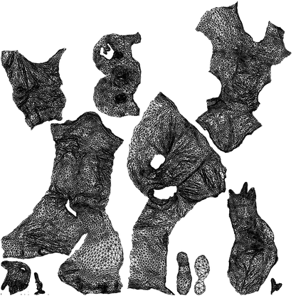 photogrammetry 3D senior man casual sitting, realistic human model archviz FBX, wireframe top-down view