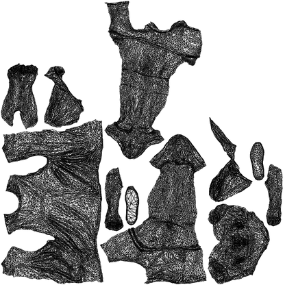 3D scanned woman sport, photorealistic archviz people for Enscape and SketchUp, wireframe top-down view