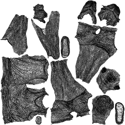 photogrammetry 3D man casual walking, realistic human model archviz FBX, wireframe top-down view
