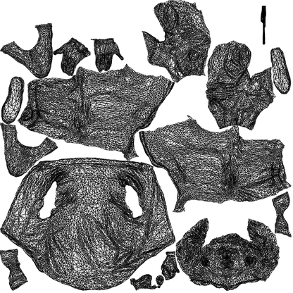 scanned 3D man casual sitting, photogrammetry people for Enscape and V-Ray, wireframe top-down view