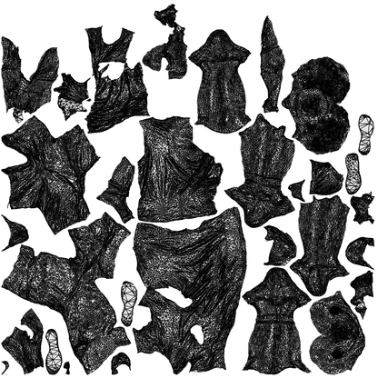 3D people model boy casual kids, scanned human for 3ds Max rendering, wireframe top-down view